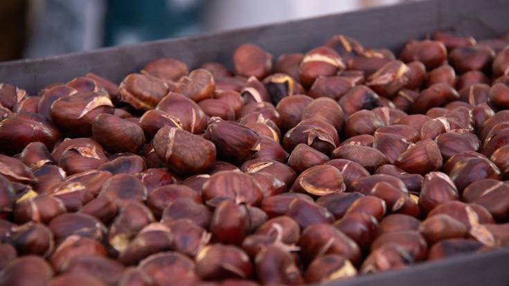 Gaztaina beroak jan dituzte