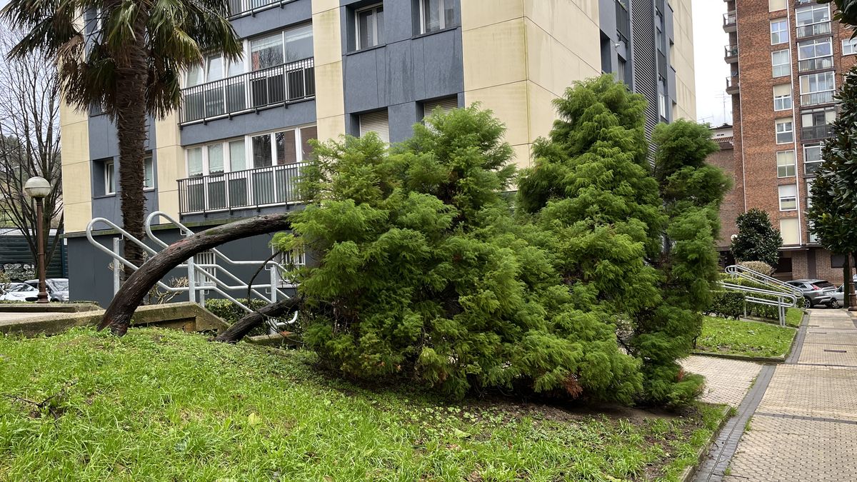 Abisu horia ezarri dute haizeagatik