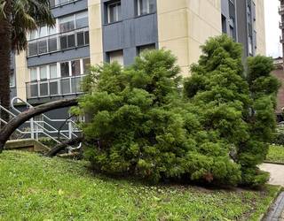 Abisu horia ezarri dute haizeagatik