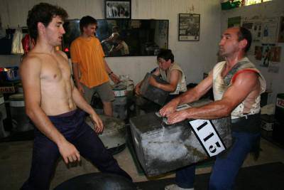 Telleria harrijasotzaile-familia