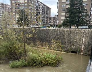 Abisu horiak egunotan, euriagatik