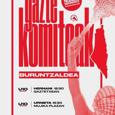 Palestinaren aldeko gazte komitea