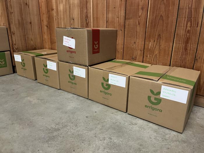 Aurtengoa izan da Euskarari Puzka kanpainak jaso duen ekarpen handiena