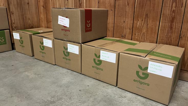 Aurtengoa izan da Euskarari Puzka kanpainak jaso duen ekarpen handiena