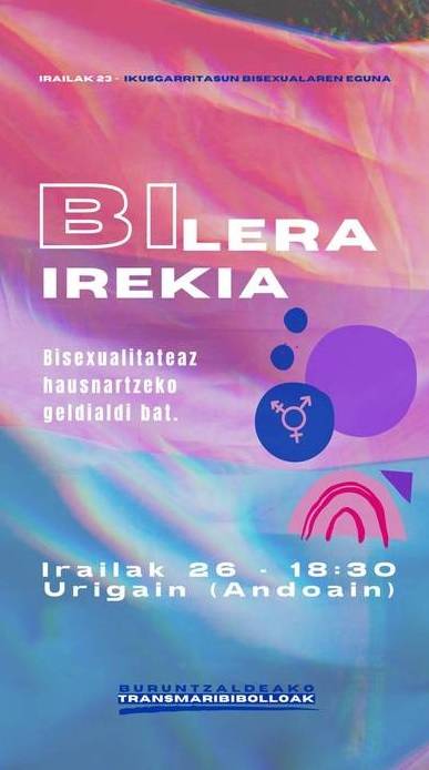 Bisexualitateaz hausnartzeko geldialdi bat