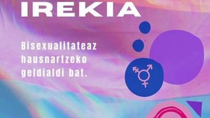 Bisexualitateaz hausnartzeko geldialdi bat