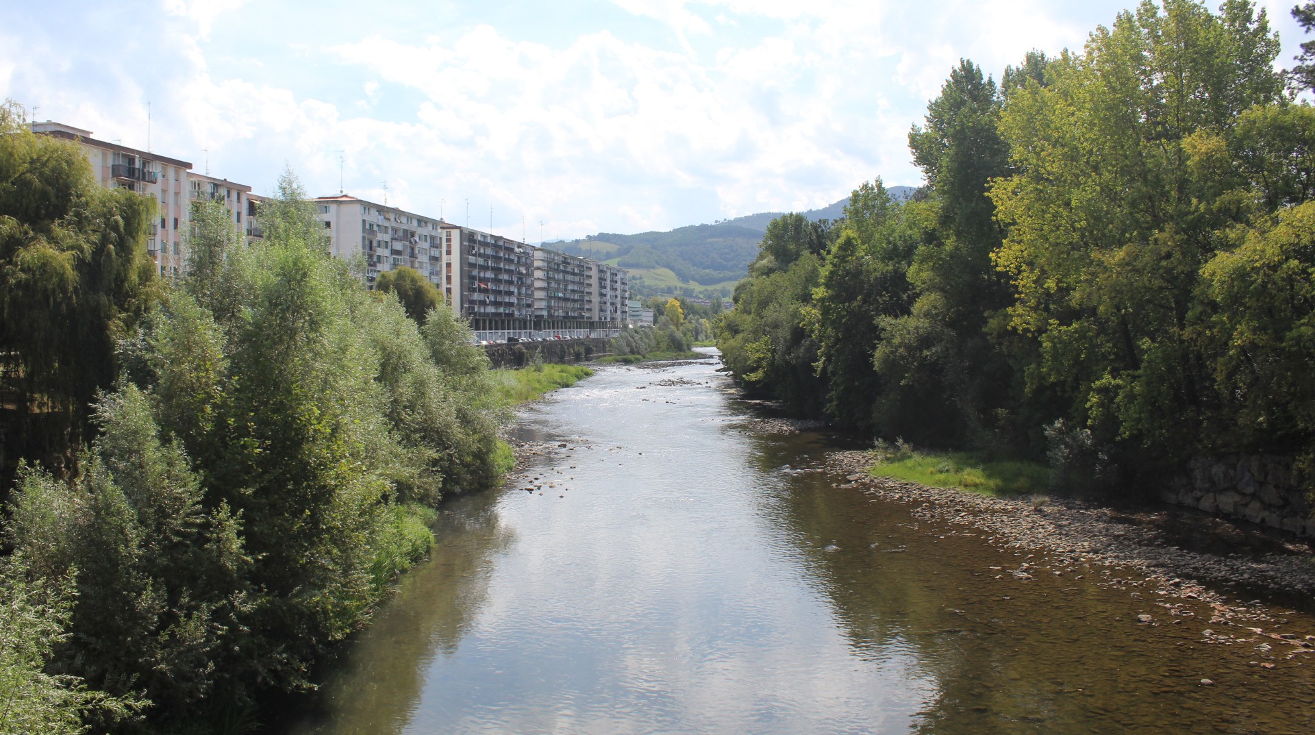 Baso bainua eta Oria ibaiertza garbitzea, aurtengo Aste Berdeko ekintzak