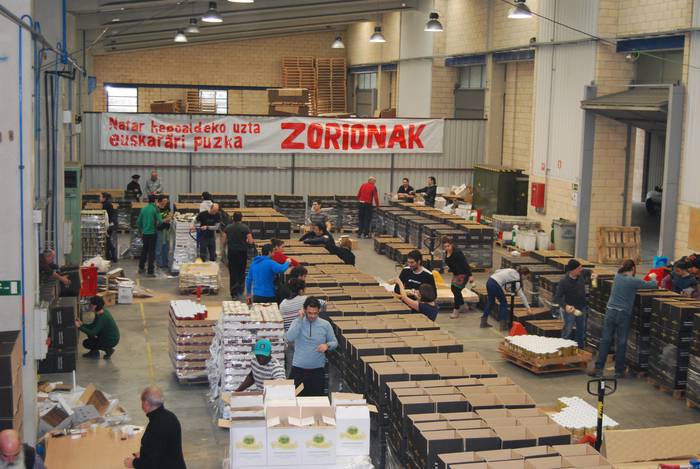 Zorionak zuri ere!