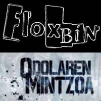Floxbin eta Odolaren Mintzoa kontzertuan