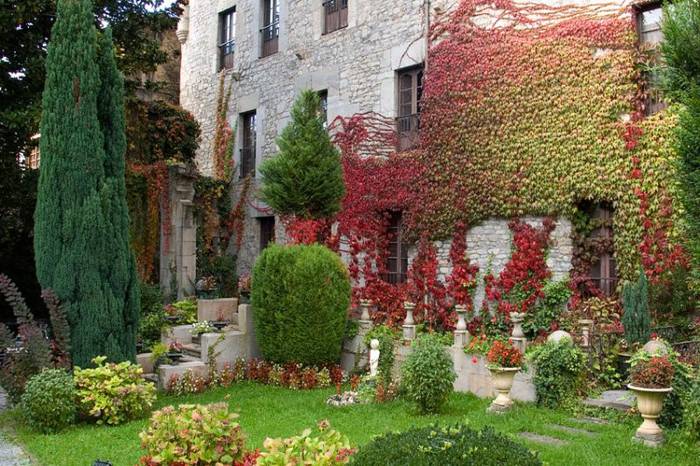 Ustekabez betetako bisita