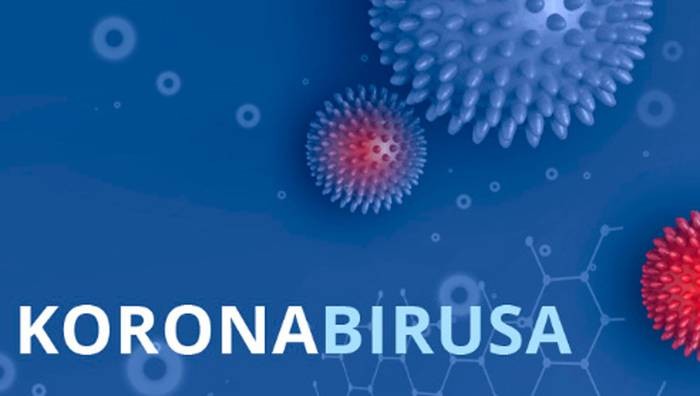 Azken 24 ordutan positibo berri bakarra zenbatu dute Gipuzkoan