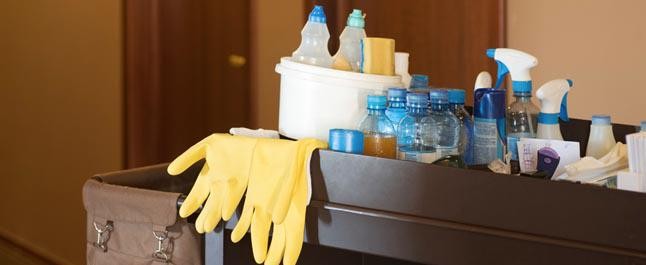 Hotelgintzan enplegua sustatzeko diru laguntza berriak