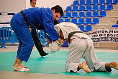Emaitza onekin hasi dituzte judoko txapelketak lasarteoriatarrek