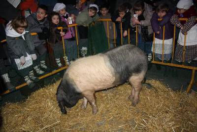 Erromeria, bertsoak eta euskal giroa bihar 
Sagardotegi kaleko Santo Tomas ferian