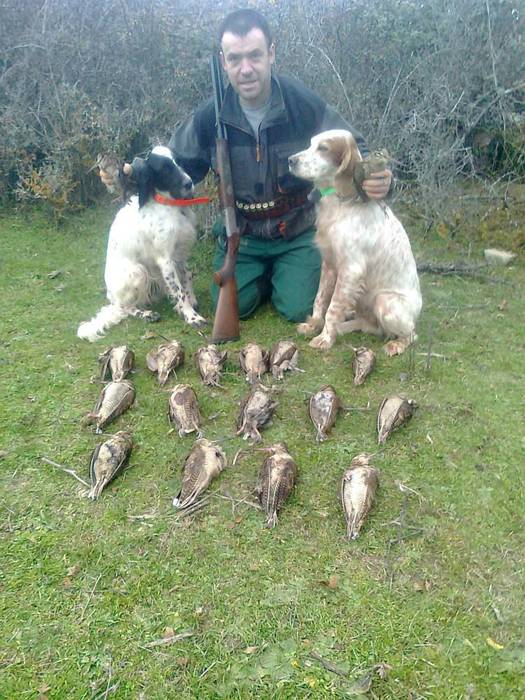 Xabier Etxezarretaren Truk zakurra igandean Espainiako txapelketan