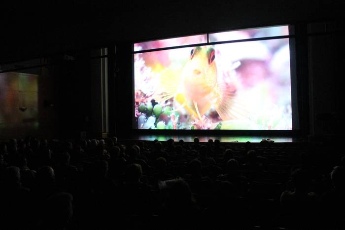 Hasi dira itsaspeko zinema saioak Manuel Lekuonan