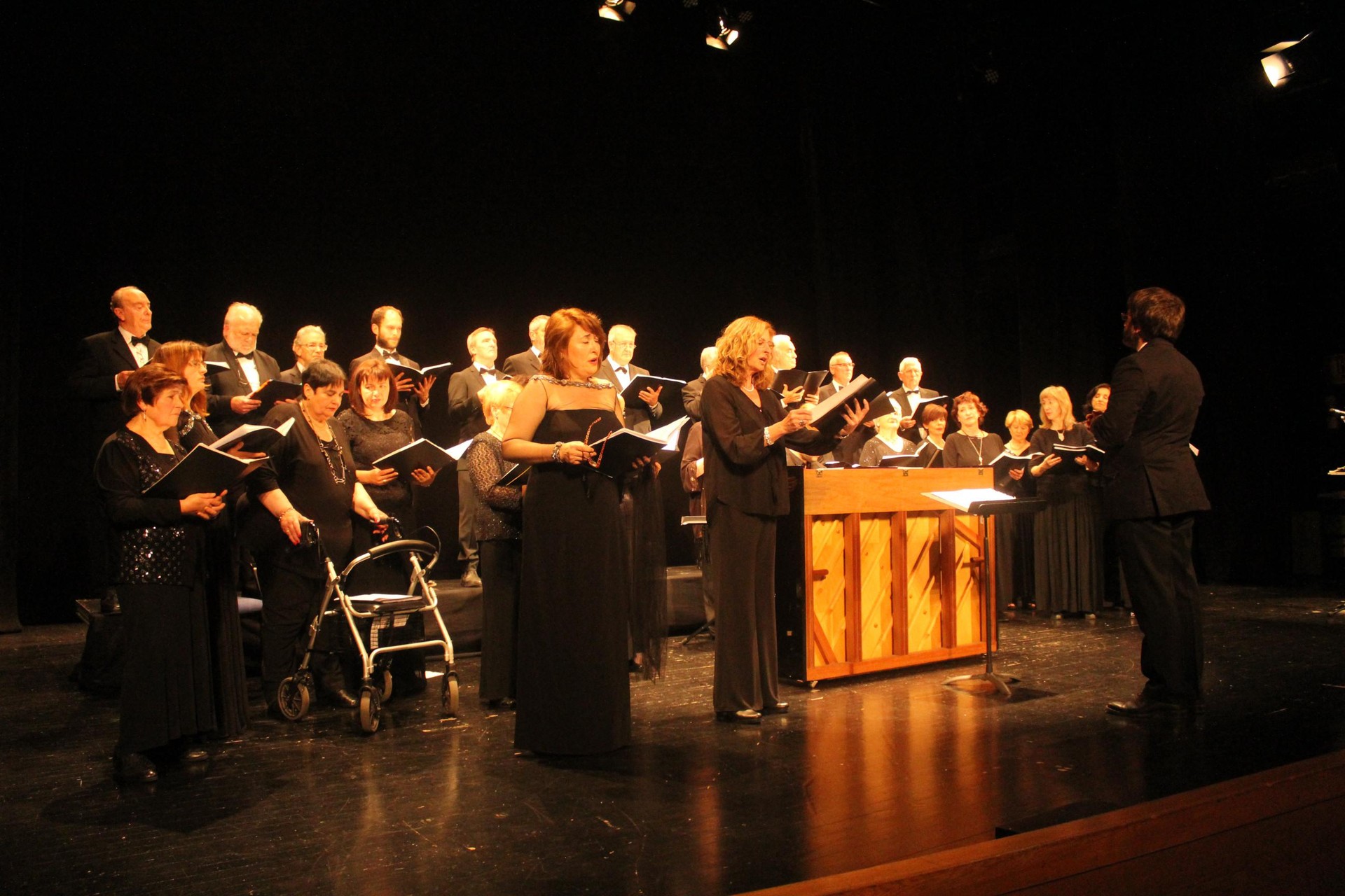Hari doinuak eta opera, hasteko