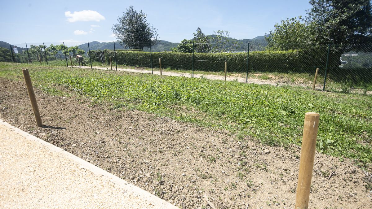 Plazaolako baratze ekologikoak hilaren 22an zozkatuko dituzte