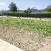 Baratze ekologikoen zozketa