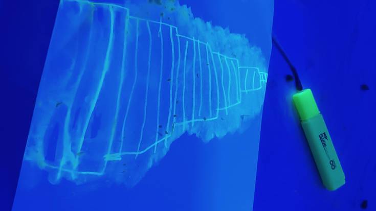 Ilunpean ikusi dute marraztutakoa