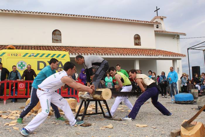 Erromeria igande haizetsua