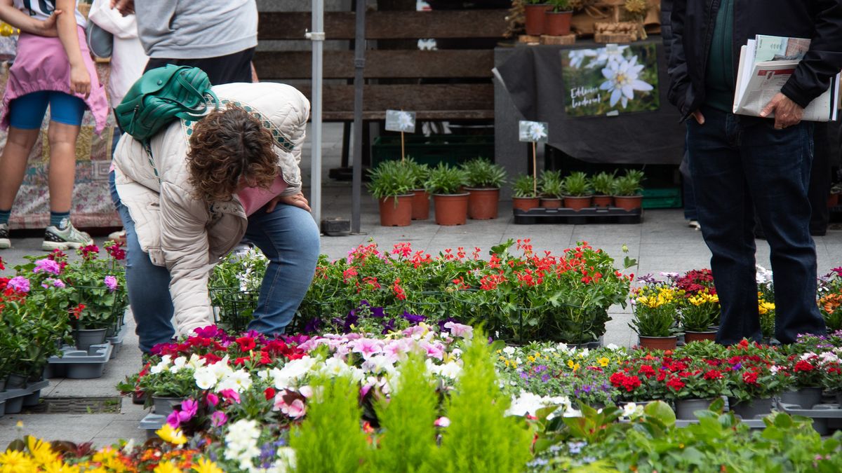 Kolorez bete da Okendo plaza