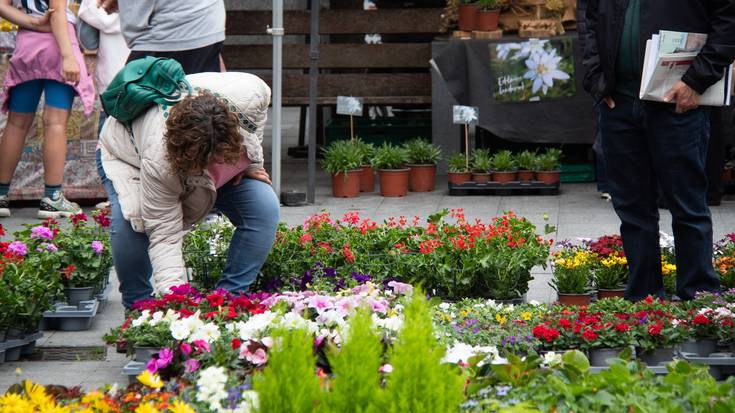 Kolorez bete da Okendo plaza