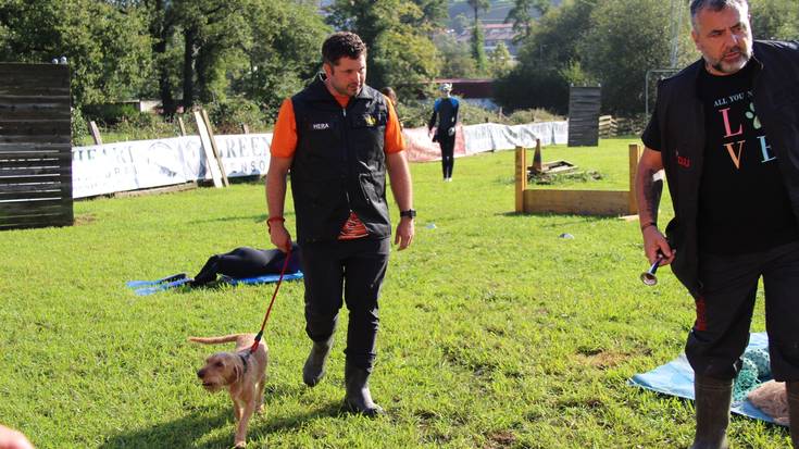 Txakurraren eta gidaren arteko lotura, proban