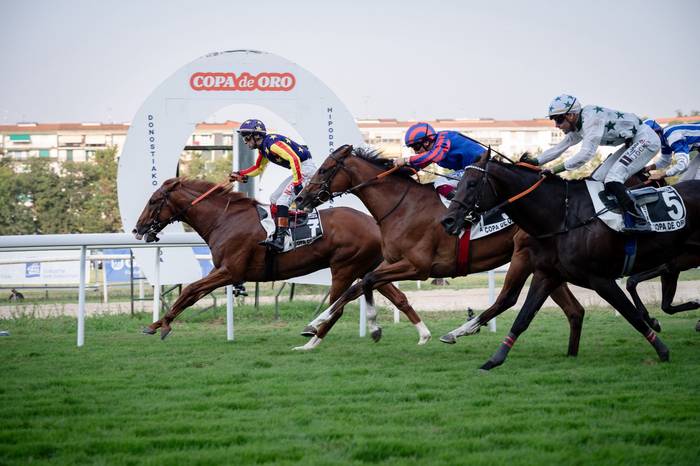 Ezusteko garaileak, Hipodromoko sari nagusietan