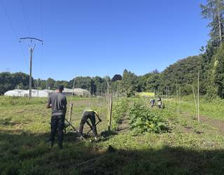 Nekazaritza Eskola abiatu dute, eskualdeko lehen sektorearen laneratzea sustatzeko