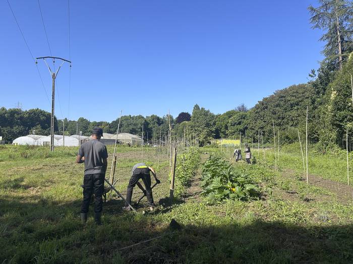 Nekazaritza Eskola abiatu dute, eskualdeko lehen sektorearen laneratzea sustatzeko