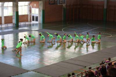 Gimnastikako aurrebenjaminak bihar hasiko dira lanean