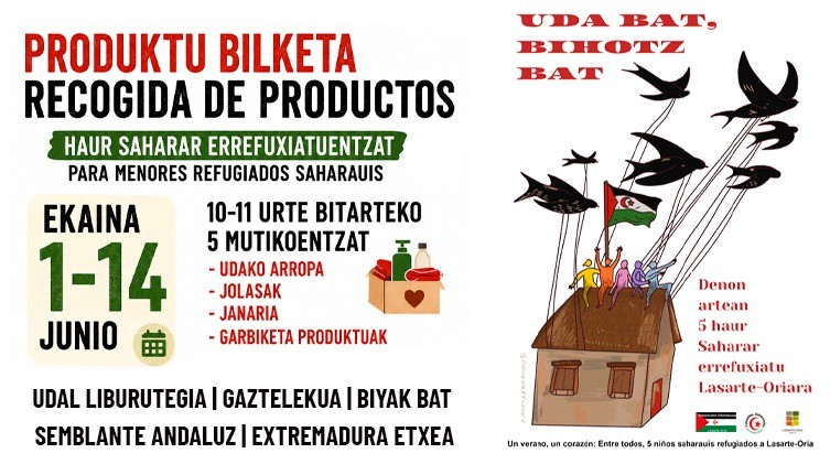 Proiektu berri bat, Saharako haurrek uda herrian igaro ahal izan dezaten