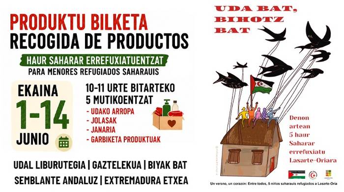 Proiektu berri bat, Saharako haurrek uda herrian igaro ahal izan dezaten