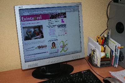 Txintxarriren web itxuraldaketa