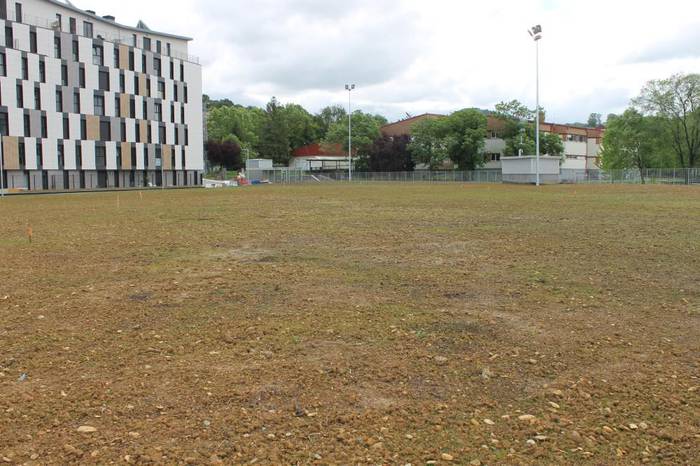 Tximistarreta plazaren erabilera aztergai
