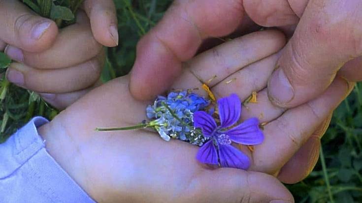 'Historias del buen valle' filma