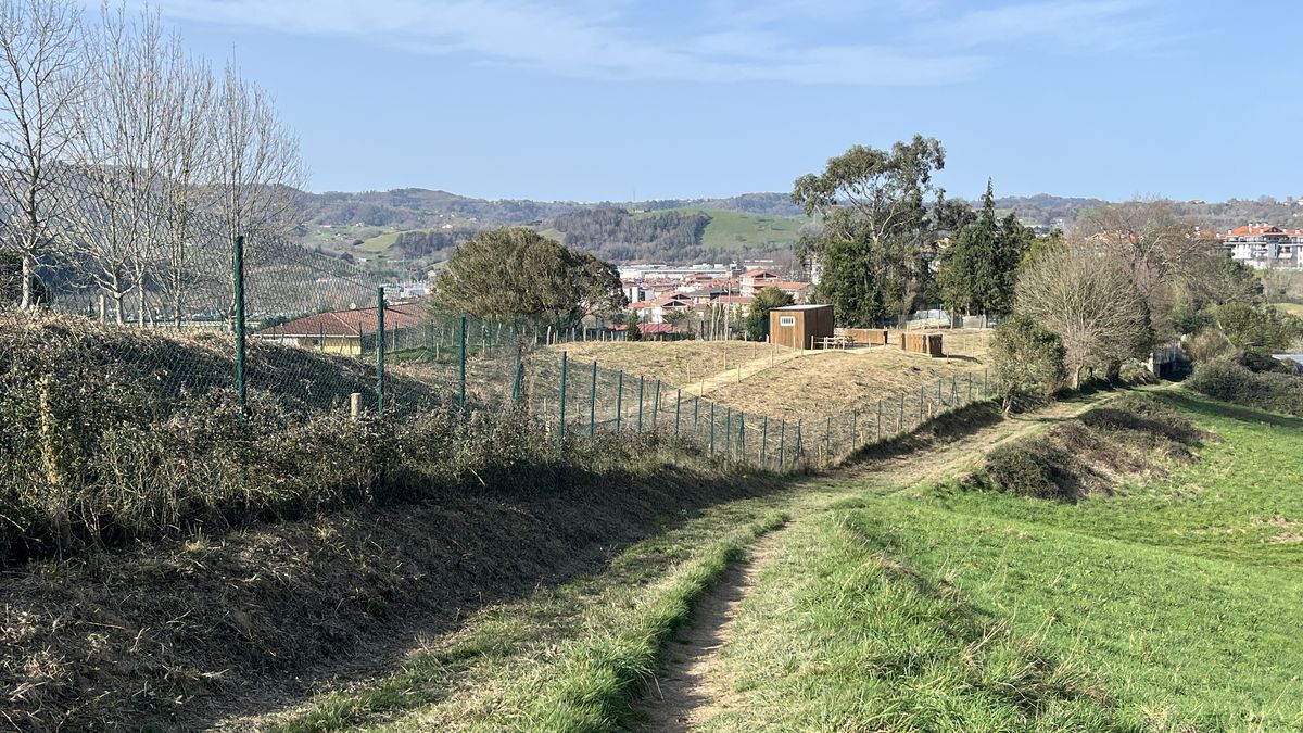 Baratze ekologikoei buruzko oinarrizko lehen ikastaroa emango dute