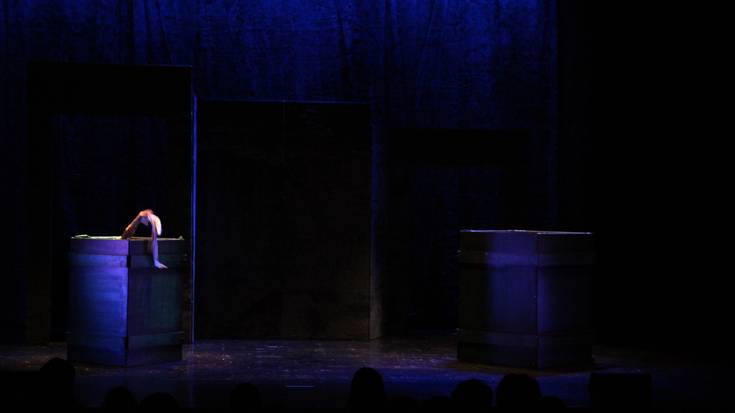 Adiskidetasuna eta irudimena, bidaide