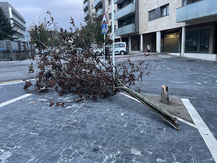 Haize ufada bortitzen eragina nabaritzen hasi gara herrian