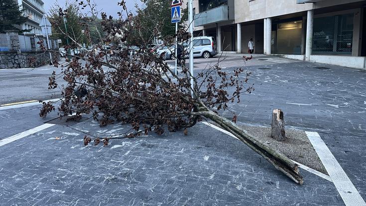 Haize ufada bortitzen eragina nabaritzen hasi gara herrian