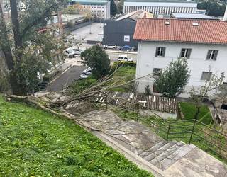 Abisu horia iragarri dute gaur, haizeagatik