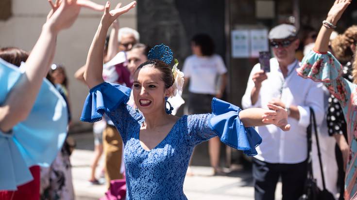 Rocioko erromeria, iruditan