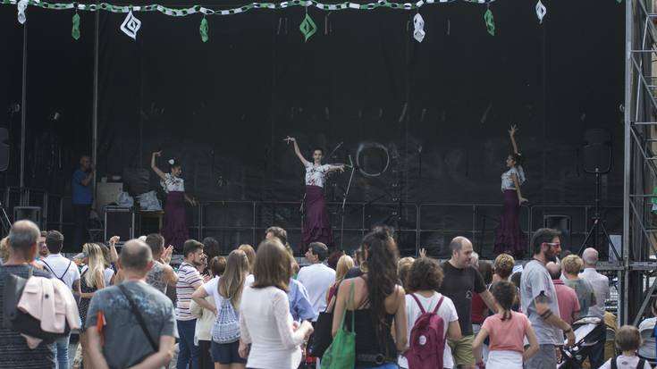 Flamenkoa dantzatzeko gogoarekin geratu dira