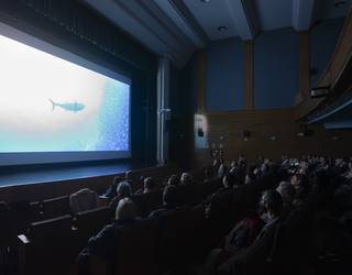 Itsaspea eta beste mundu ugari ezagutzeko hitzorduak iragarri dituzte otsailerako