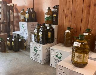 Olio botila eta kaxak banatuko dituzte Errigorako boluntarioek
