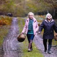 Haurrentzako filma: 'Caundo el otoño cae'