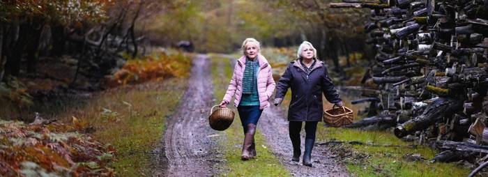 Haurrentzako filma: 'Caundo el otoño cae'