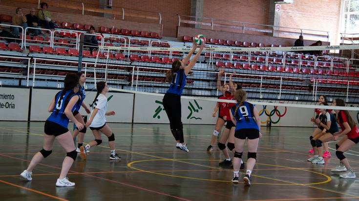 Ostadar Boleibol taldeek ederki egin diete aurre euren hitzorduei