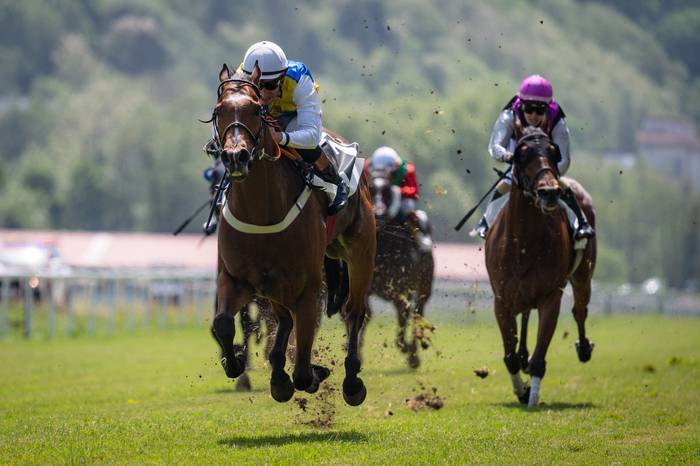 Zaldi lasterketak eta Errege Kopa, Hipodromoko bigarren saioan